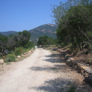 ein Weg an der korsischen Küste