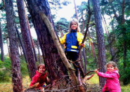 kletternde Kinder im Wald