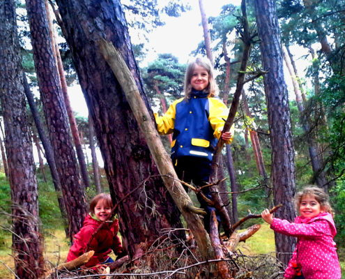 kletternde Kinder im Wald