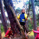 kletternde Kinder im Wald