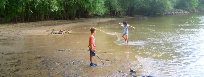 Kinder am Mainstrand im Wasser