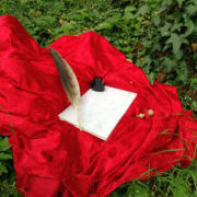 Feder, Tinte und Papier auf rotem Samttuch umgeben von Efeu