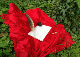 Feder, Tinte und Papier auf rotem Samttuch umgeben von Efeu