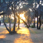 Sonnenuntergang in Olivenhain