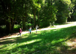 Kinder laufen auf einer Waldlichtung