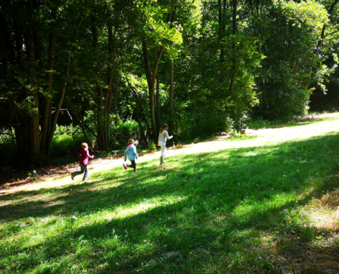 Kinder laufen auf einer Waldlichtung