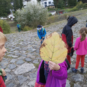 Angebote - Herbstferienbetreuung