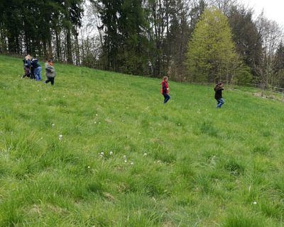 Angebote für Schulen - Lehrkräftefortbildung