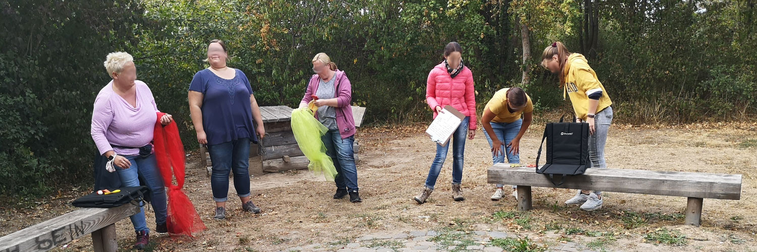 Insight Outside für Sie und Ihre Gruppe