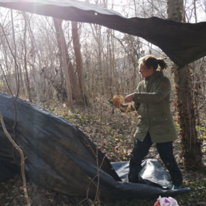 Angebote für Behörden und Unternehmen - Outdoor-Coaching