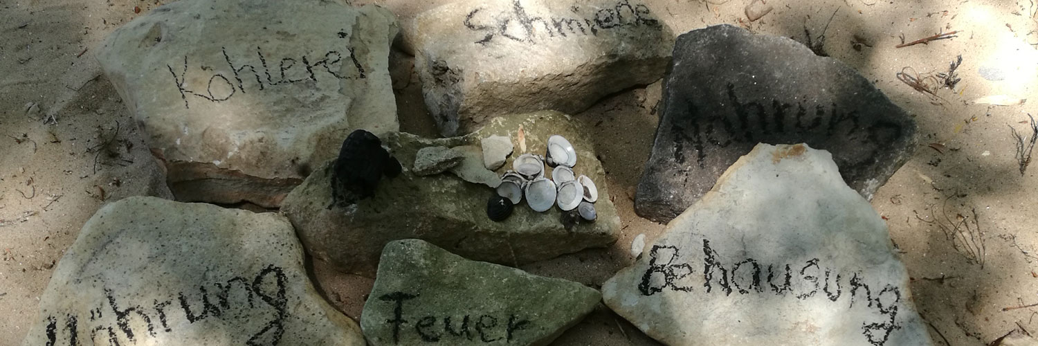 Angebote - Schulprojekte