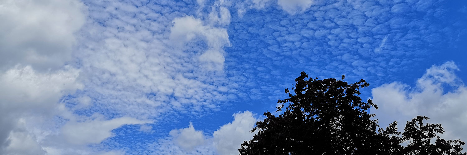 Trauerbegleitung in der Natur mit Insight Outside