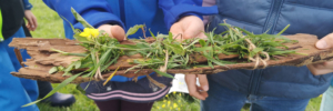 Workshops - Herbstferienbetreuung