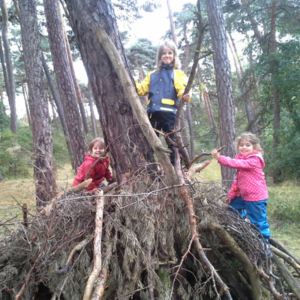 Workshops - Kinder-Expedition