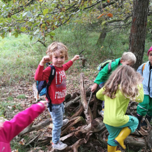 Workshops - Kinder-Expedition