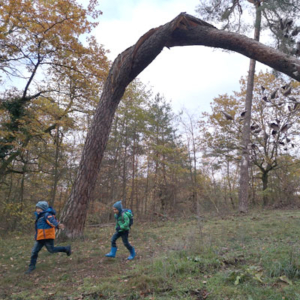 Workshops - Kinder-Expedition