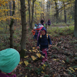Workshops - Kinder-Expedition