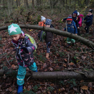 Workshops - Kinder-Expedition