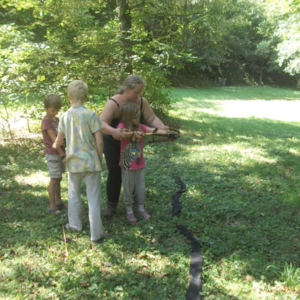 Workshops - Outdoor Skiller: Bogenschießen