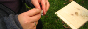 Workshops - Outdoor Skiller: Firestarter