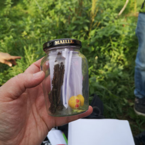 Workshops - Outdoor Skiller: Outdoor-Navigation