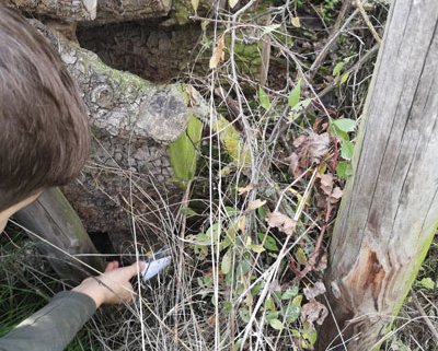 Workshops - Outdoor Skiller: Outdoor-Navigation