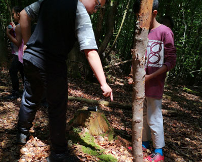 Workshops - Outdoor Skiller: Outdoor-Refugium