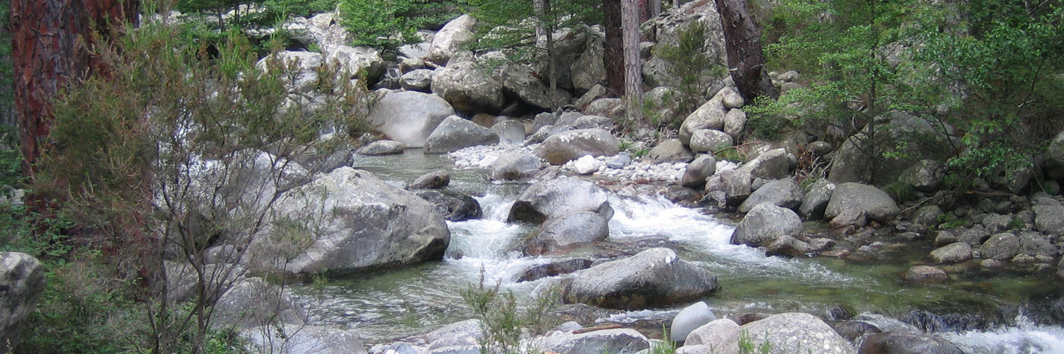 Workshops - Poesie in der Natur