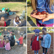 kinder_natur_collage_1536x768